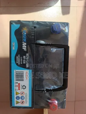 Ns70 Spark Maintanance Free Battery