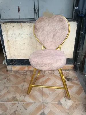 Salon Chair