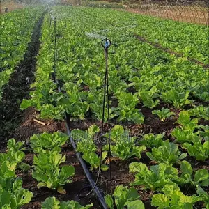 Butterfly Sprinkler360° Rotation Of The Nozzle