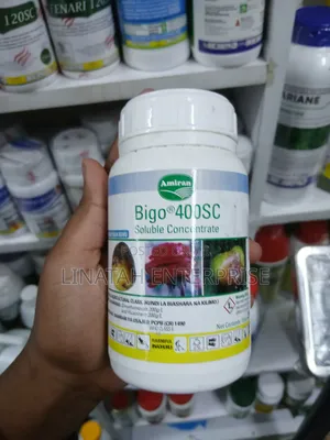 Bigo Fungicide 250ml