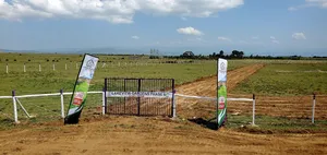 Prime 50 by 100 Plots in Naivasha, Mirera