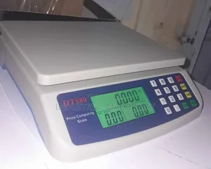 Digital Weighing Scale(Dt580)