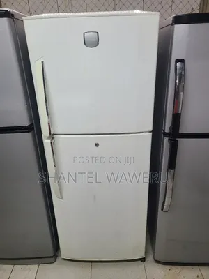Roch Double Door Refrigerator
