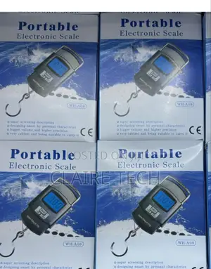 Heavy Duty Portable, Hook Type Temp, 50kg Weighing Scale
