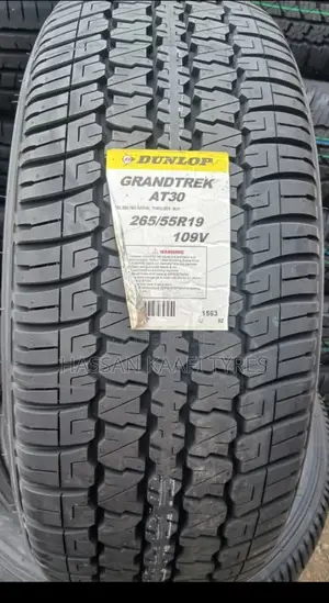 265/55r19 Dunlop Tyre