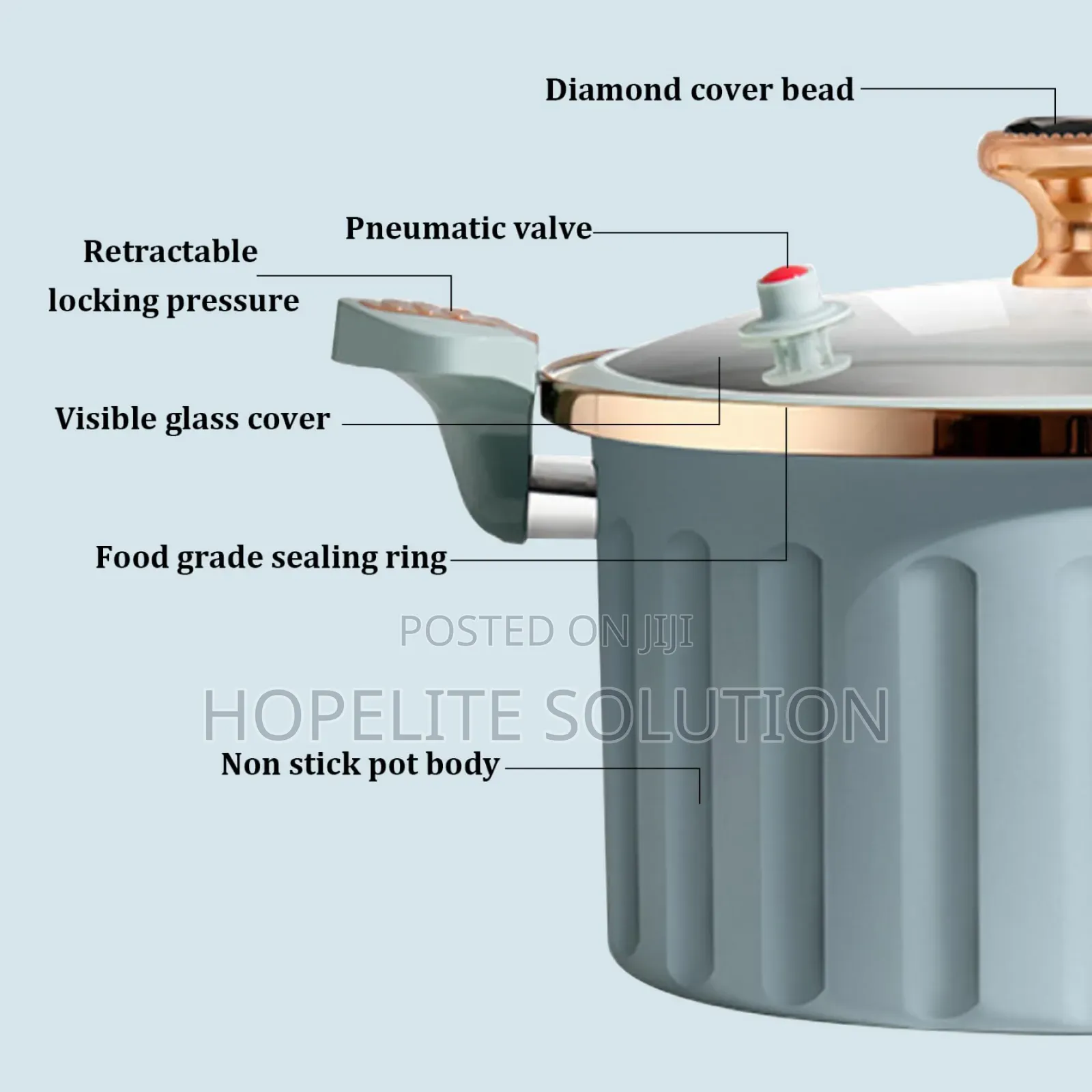10l Non Stick Pressure Cooker