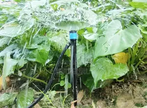 360 Fountain-Type Micro Sprinkler