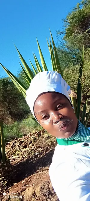 Margaret Waithira CVS
