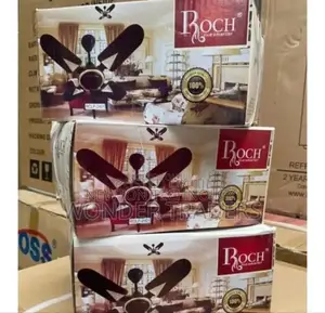 Ceiling Fan 24 Inches (Roch)