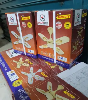 Smart Pro 24 Inches Ceiling Fan