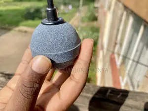 Elevate Your Tank’S Oxygen Game With This 2-Inch Air Stone