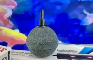 Oxygen-Rich Water Starts With the Right Air Stone