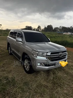 Toyota Land Cruiser 2013 Silver