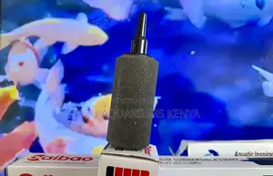 One Pack, All Shapes – Aeration Made Simple Air Stones