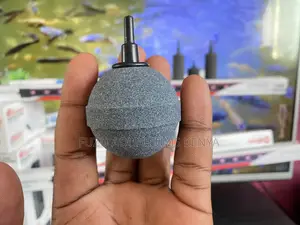 Oxygen That Flows – Without Disrupting Your Fish Air Stones