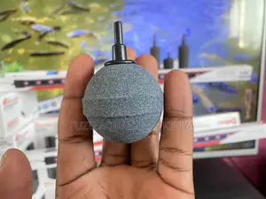 Durable Air Stones That Keep Going