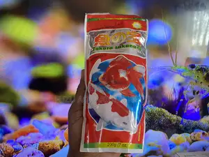 Fish Love the Taste Fish Pellets –You’Ll Love the Results