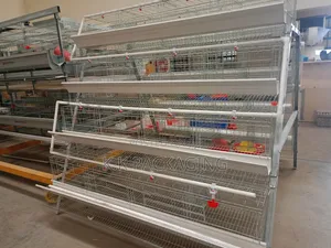 Chicken Cages