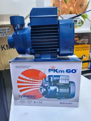 0.5hp Pedrollo Water Pump/Quality Water Pump