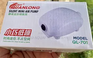 Mini Air Pump, Maximum Flexibility – Single or Dual Outlet