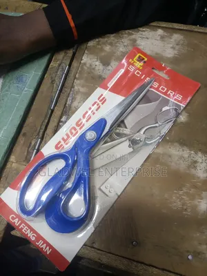Stainless Steel Tailor Scissors
