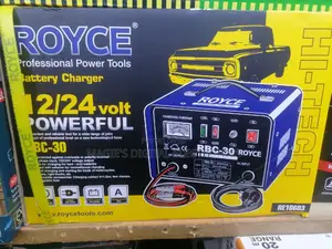 High Standard 30amps Royce Battery Charger