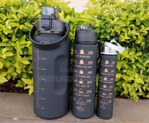 Generic 3 in 1 Motivational Water Bottle