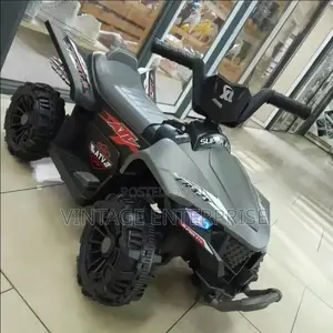 Mini Quad Bike
