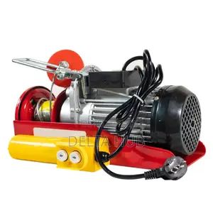High Quality Fixedtype Pa1000 Mini Electric Hoist