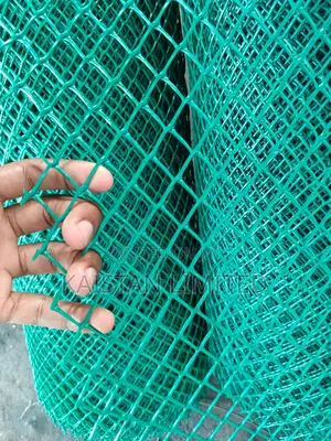 High Quality Plastic Poultry Mesh