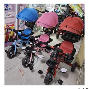 Tricycles With Push Handle and a Canopy