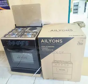 50*55 Ailyons 3+1 Standing Cooker
