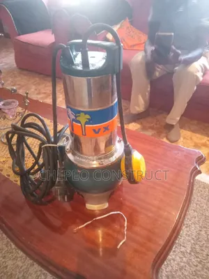 Pedrollo Powerful Italian Submersible Pump