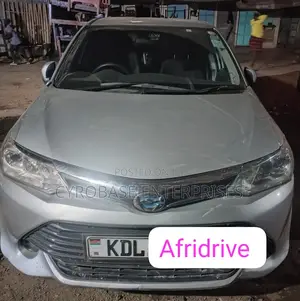 Afridrive Carhire Tours