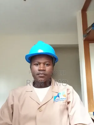 Software Developer