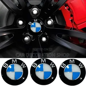 BMW Universal Wheel Cap Stickers