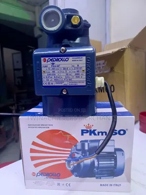 0.5hp Electric Water Pump/Pedrollo Water Pump