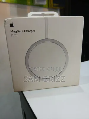 Apple Massage Charger