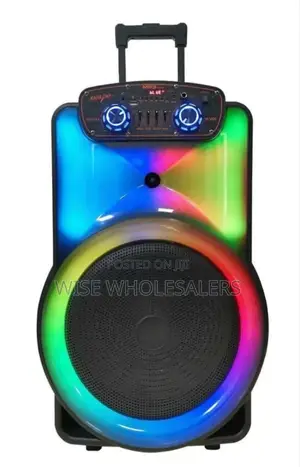 15" Premier Rechargeable Troley With 2microphone Full Loaded