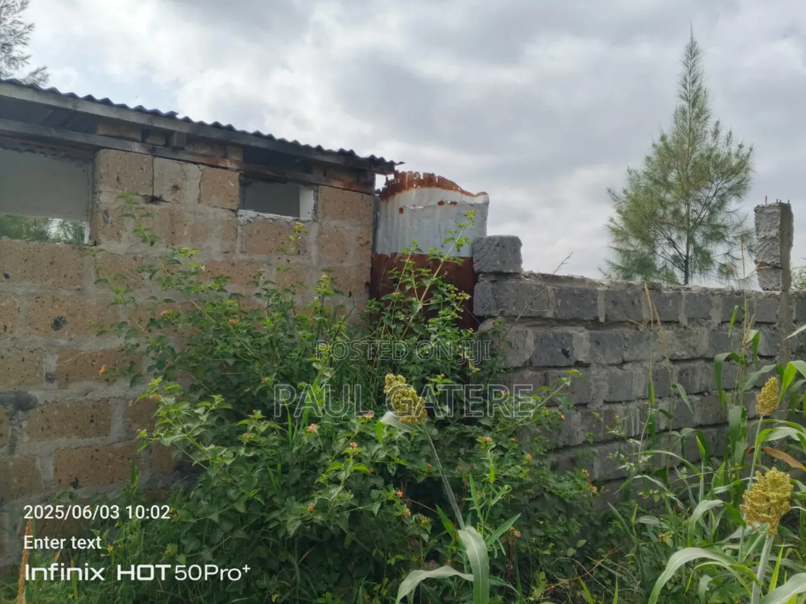 1/4acre Plot