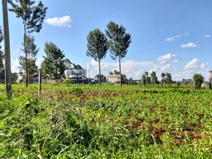 Plots Available for Sale Kiora Estate Kiambu Township