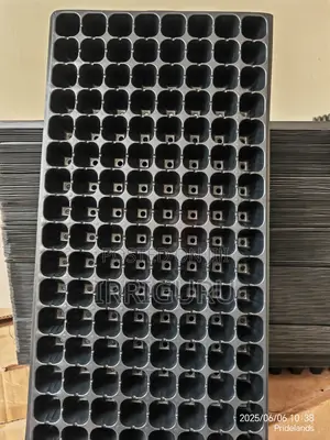 Nursery Tray With 128 Holes