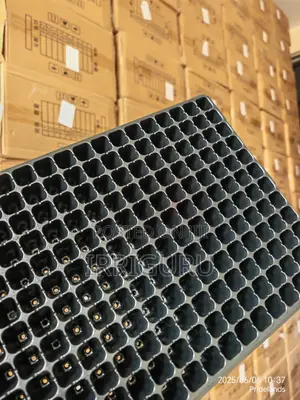 Nursery Tray With 198 Holes