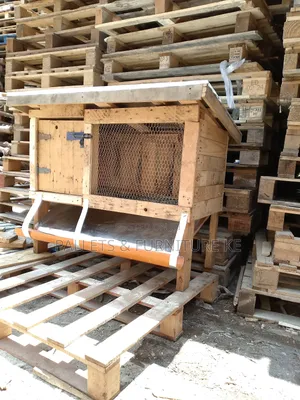 Chicken Cage