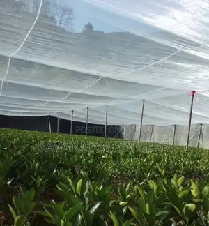 Insect Net to Prevent Insects Flying Into Greenhouse -1m*1m