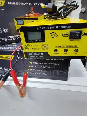 Battery Charger Portable Intelligent Automatic 12volt 24v