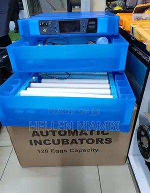 128eggs Ac/Dc Fully Automatic Eggs Incubator