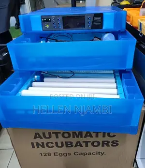 128eggs Automatic Ac/Dc Egg Incubator Machine