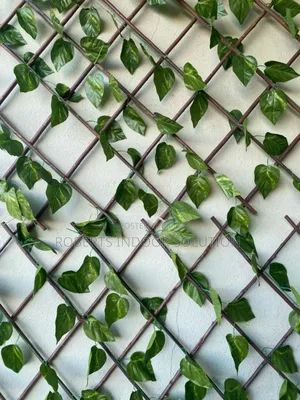 Bamboo Fence Make You Living in a World of Balcony Decor