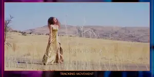 Music Video Director